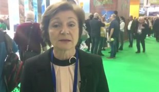 Вијести