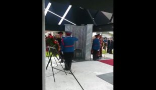 Вијести