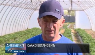 Дневник 1