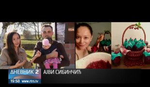 Дневник 2