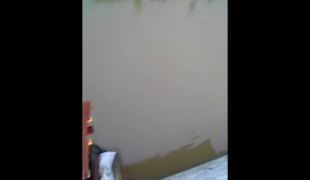 Вијести