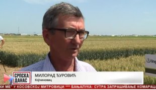 Српска Данас