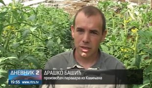 Дневник 2