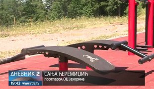 Дневник 2