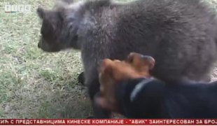 Српска Данас