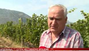 Српска Данас
