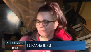 Дневник 2