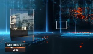Дневник 1