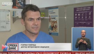 Српска Данас