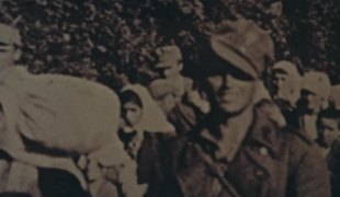Вијести