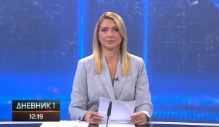 Дневник 1