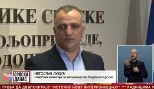 Српска Данас