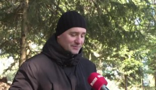 Јутарњи програм