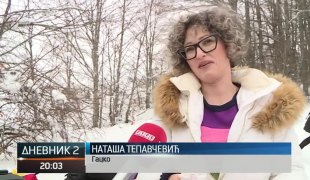 Дневник 2