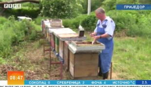 Јутарњи програм