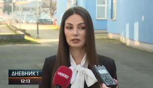 Дневник 1