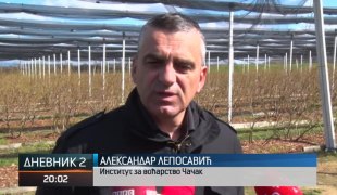 Дневник 2
