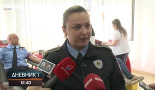 Дневник 1