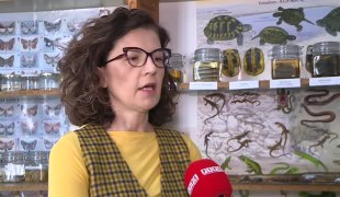 Јутарњи програм