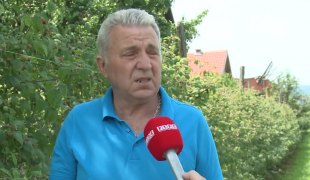 Јутарњи програм