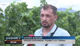 Дневник 2