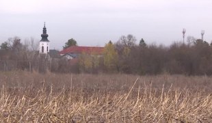 Јутарњи програм