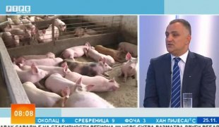 Јутарњи програм