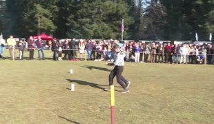 Јутарњи програм