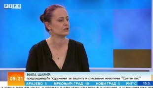 Јутарњи програм