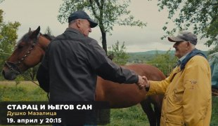Вијести