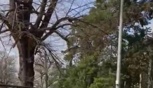 Спортски додатак
