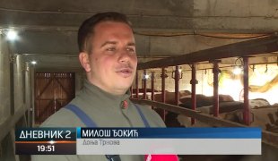 Дневник 2