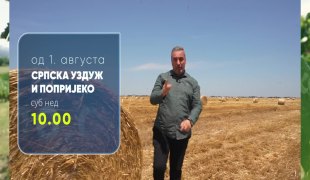 Српска уздуж и попријеко