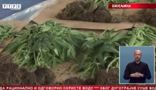 Српска Данас
