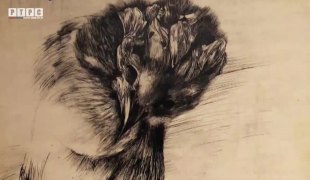 Репортаже из културе