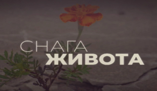 12.02.2026. Родитељска кућа "Искра"